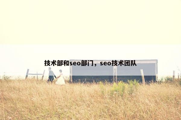 技术部和seo部门，seo技术团队