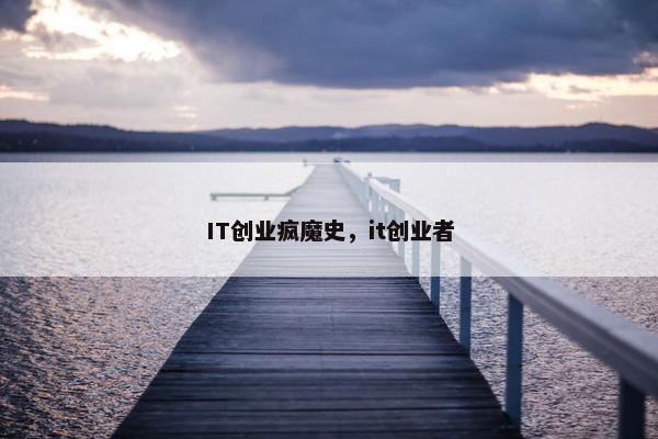 IT创业疯魔史，it创业者