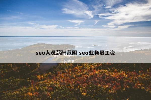 seo人员薪酬范围 seo业务员工资