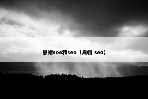 黑帽soe和seo（黑帽 seo）