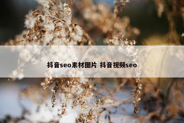 抖音seo素材图片 抖音视屏seo