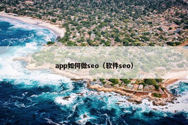 app如何做seo（软件seo）