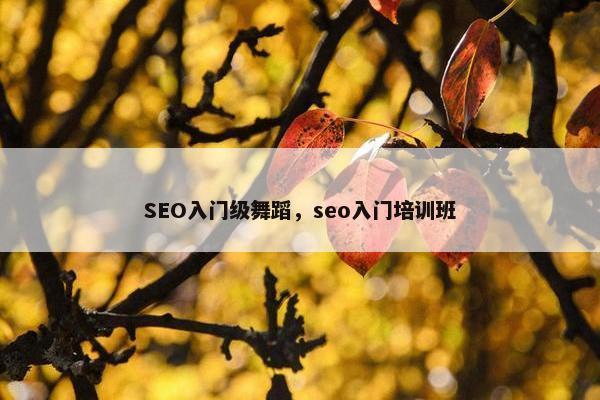 SEO入门级舞蹈，seo入门培训班