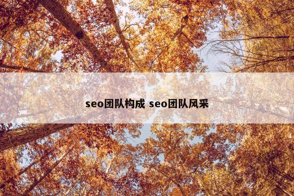 seo团队构成 seo团队风采