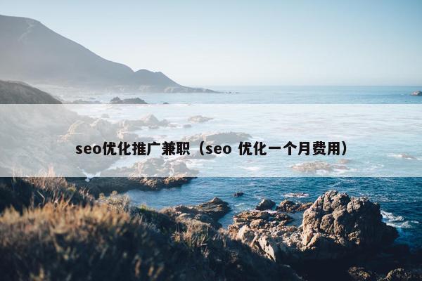 seo优化推广兼职（seo 优化一个月费用）