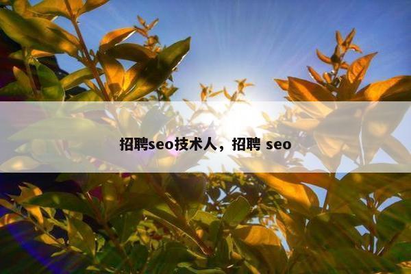 招聘seo技术人，招聘 seo