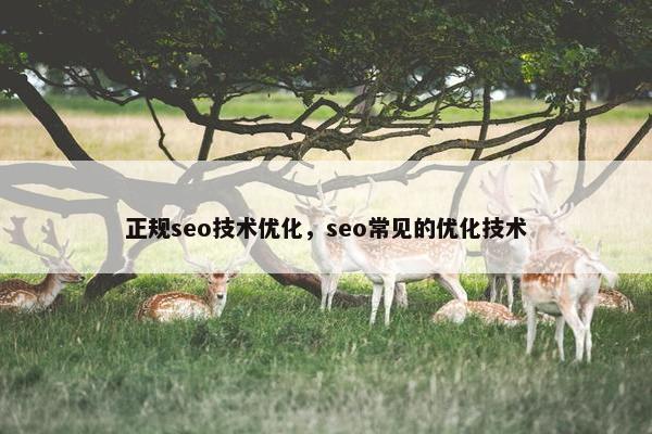 正规seo技术优化，seo常见的优化技术