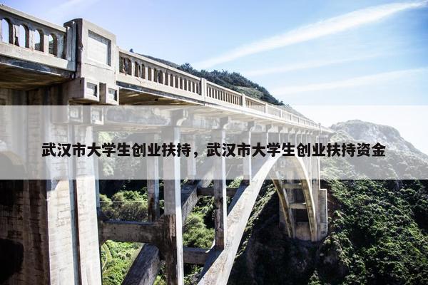 武汉市大学生创业扶持，武汉市大学生创业扶持资金