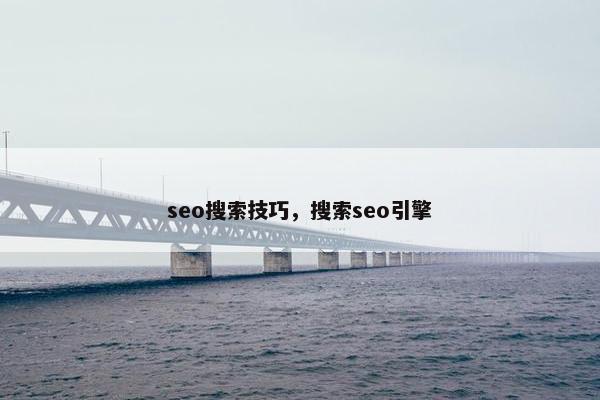 seo搜索技巧，搜索seo引擎