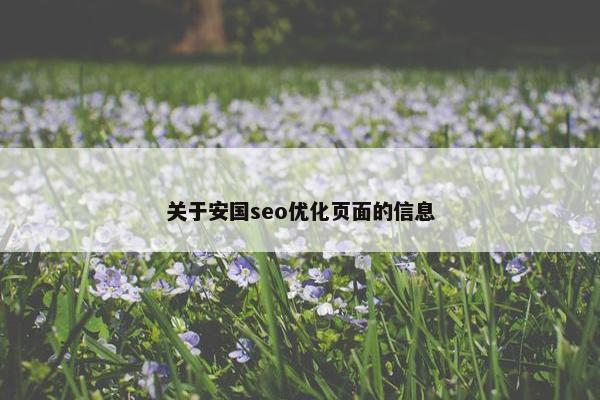 关于安国seo优化页面的信息