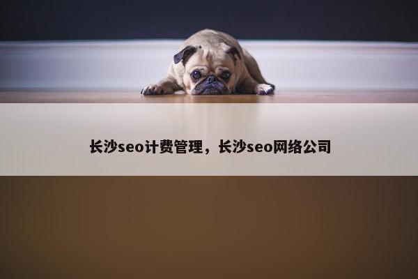 长沙seo计费管理，长沙seo网络公司