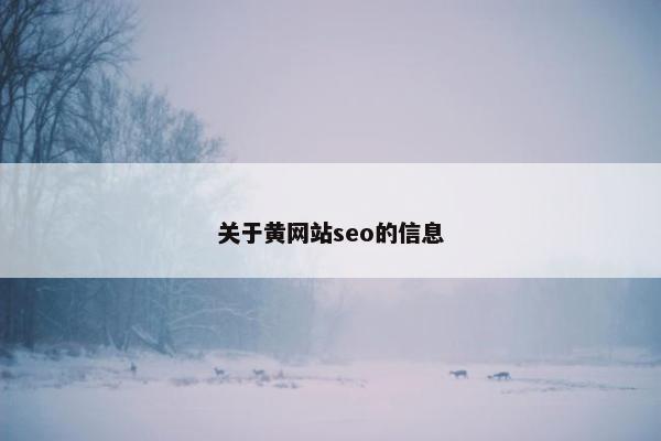 关于黄网站seo的信息