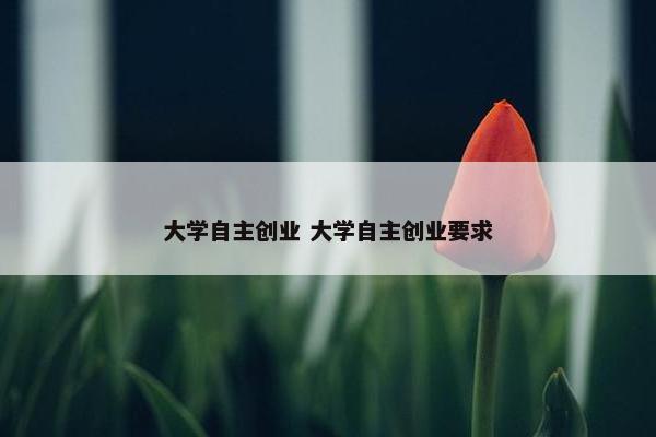 大学自主创业 大学自主创业要求