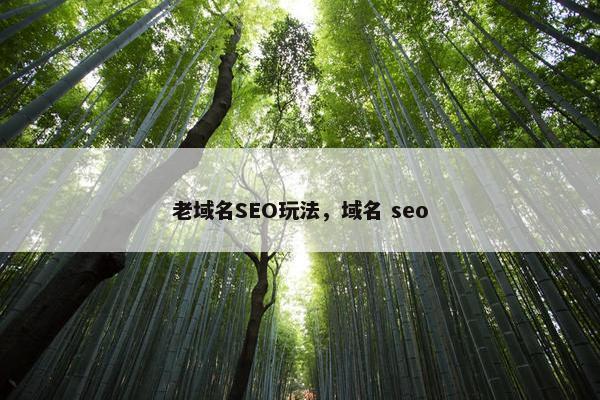 老域名SEO玩法，域名 seo