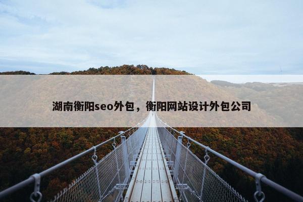 湖南衡阳seo外包，衡阳网站设计外包公司