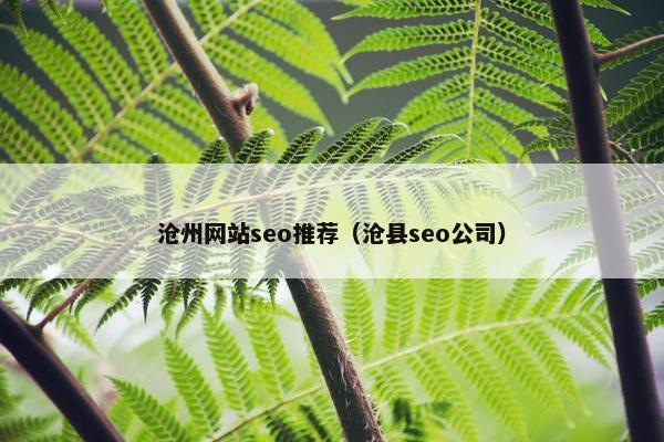 沧州网站seo推荐（沧县seo公司）