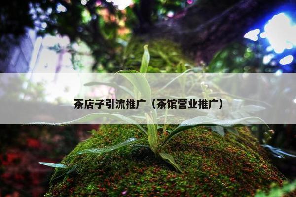 茶店子引流推广（茶馆营业推广）