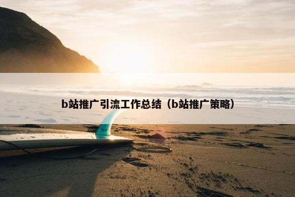 b站推广引流工作总结（b站推广策略）