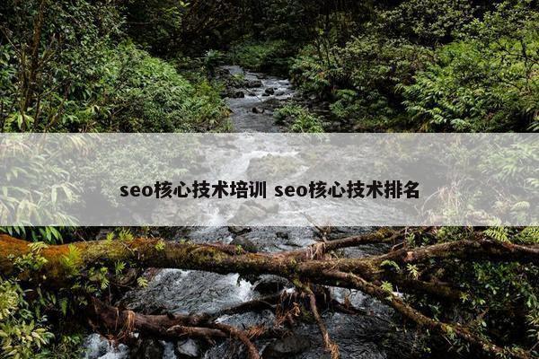 seo核心技术培训 seo核心技术排名