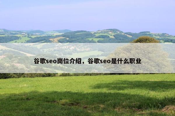 谷歌seo岗位介绍，谷歌seo是什么职业