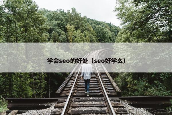 学会seo的好处（seo好学么）