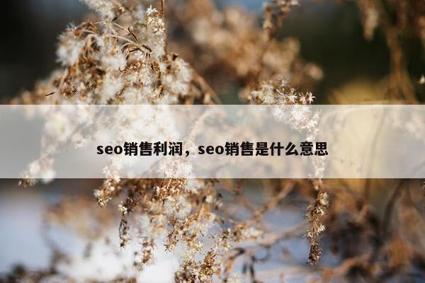 seo销售利润，seo销售是什么意思