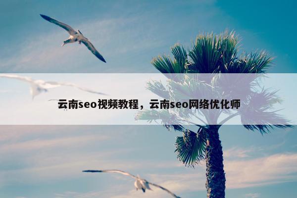 云南seo视屏教程，云南seo网络优化师