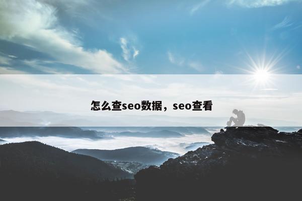 怎么查seo数据，seo查看