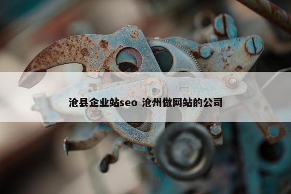 沧县企业站seo 沧州做网站的公司