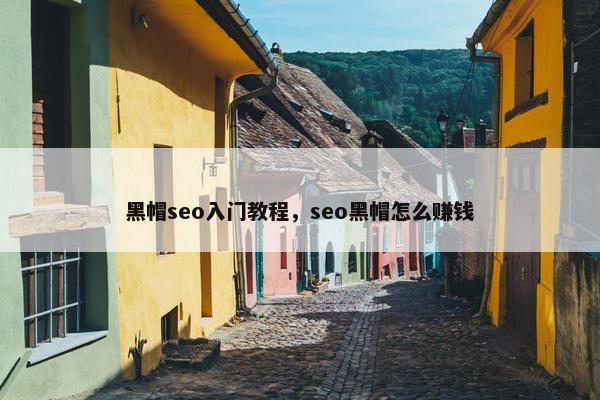 黑帽seo入门教程，seo黑帽怎么赚钱