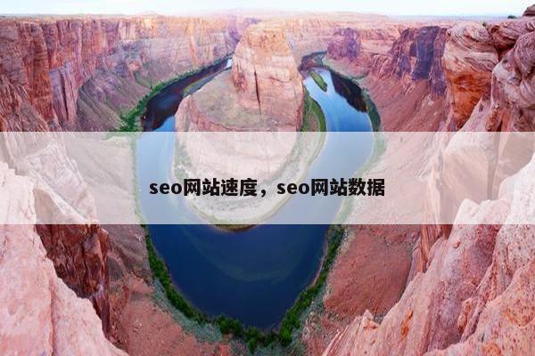 seo网站速度，seo网站数据