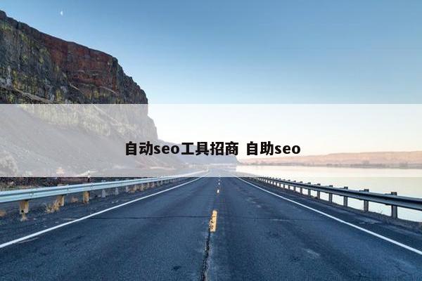 自动seo工具招商 自助seo