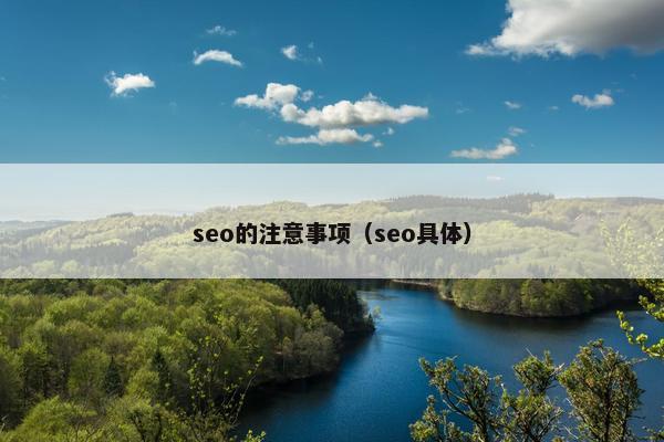 seo的注意事项（seo具体）