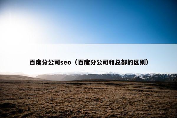 百度分公司seo（百度分公司和总部的区别）