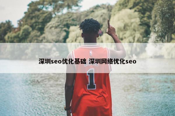 深圳seo优化基础 深圳网络优化seo