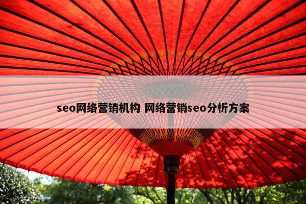 seo网络营销机构 网络营销seo分析方案