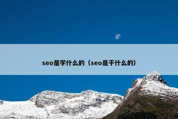 seo是学什么的（seo是干什么的）