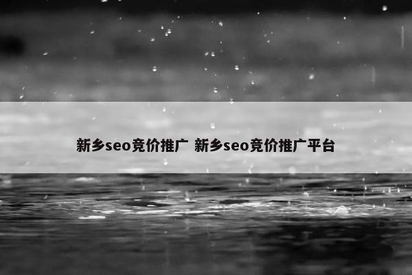 新乡seo竞价推广 新乡seo竞价推广平台