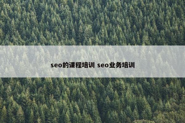 seo的课程培训 seo业务培训