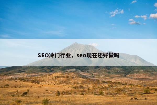 SEO冷门行业，seo现在还好做吗