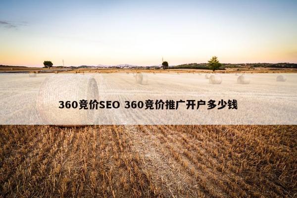 360竞价SEO 360竞价推广开户多少钱