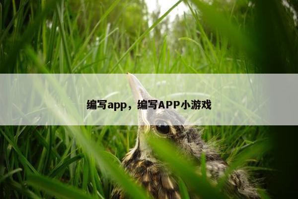 编写app，编写APP小游戏