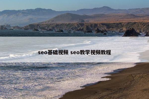 seo基础视屏 seo教学视屏教程