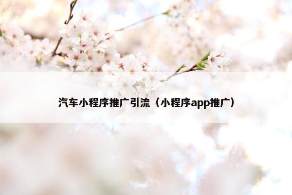 汽车小程序推广引流（小程序app推广）