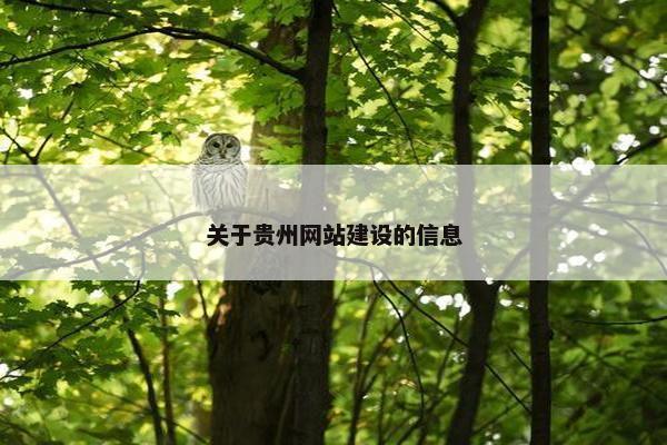 关于贵州网站建设的信息