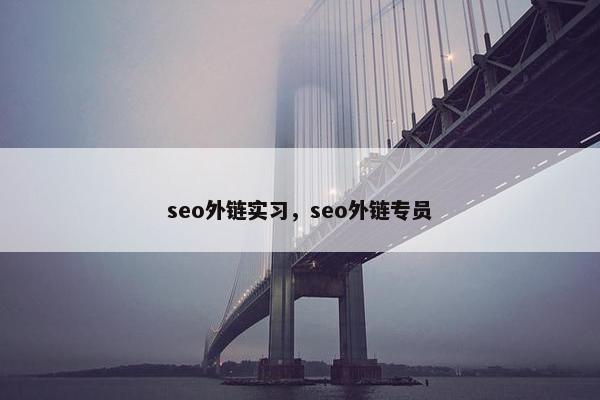 seo外链实习，seo外链专员