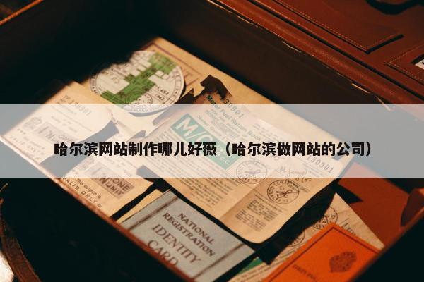 哈尔滨网站制作哪儿好薇（哈尔滨做网站的公司）