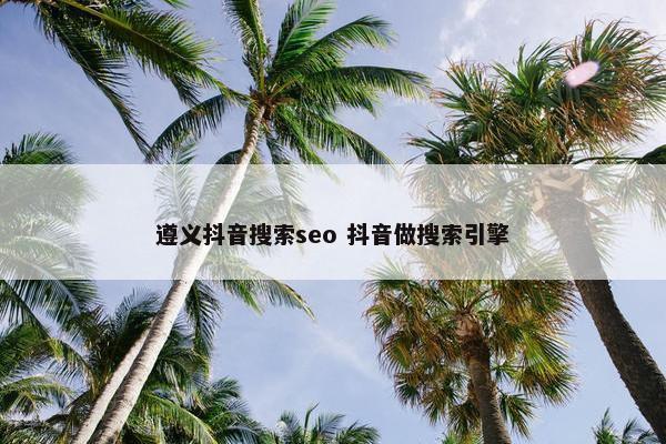 遵义抖音搜索seo 抖音做搜索引擎