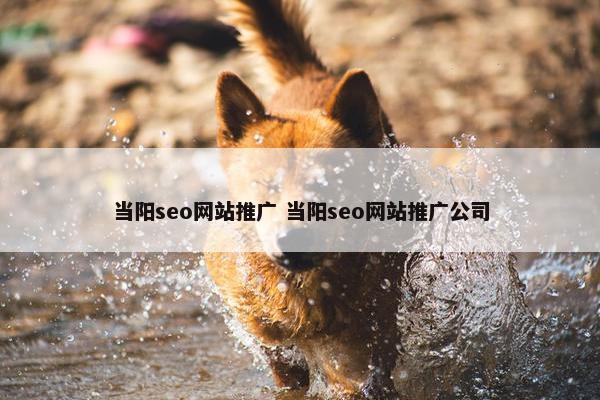 当阳seo网站推广 当阳seo网站推广公司