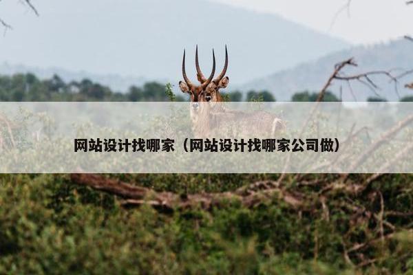 网站设计找哪家（网站设计找哪家公司做）